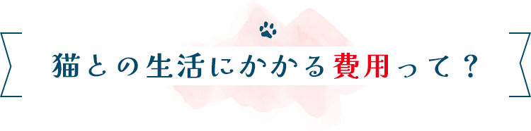 猫との生活にかかる費用って？