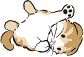 猫のアイコン