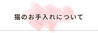 猫のお手入れについて