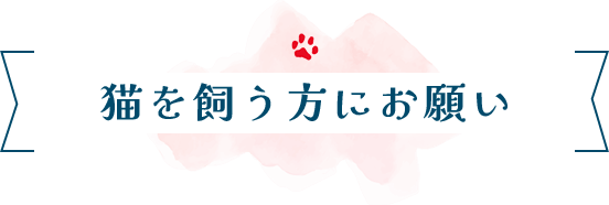 猫を飼う方にお願い