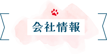 会社情報